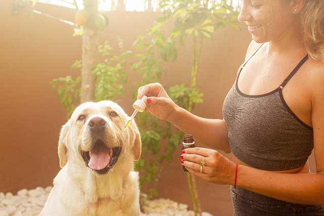 Cbd olje som adhd-medisin: Myter og realiteter